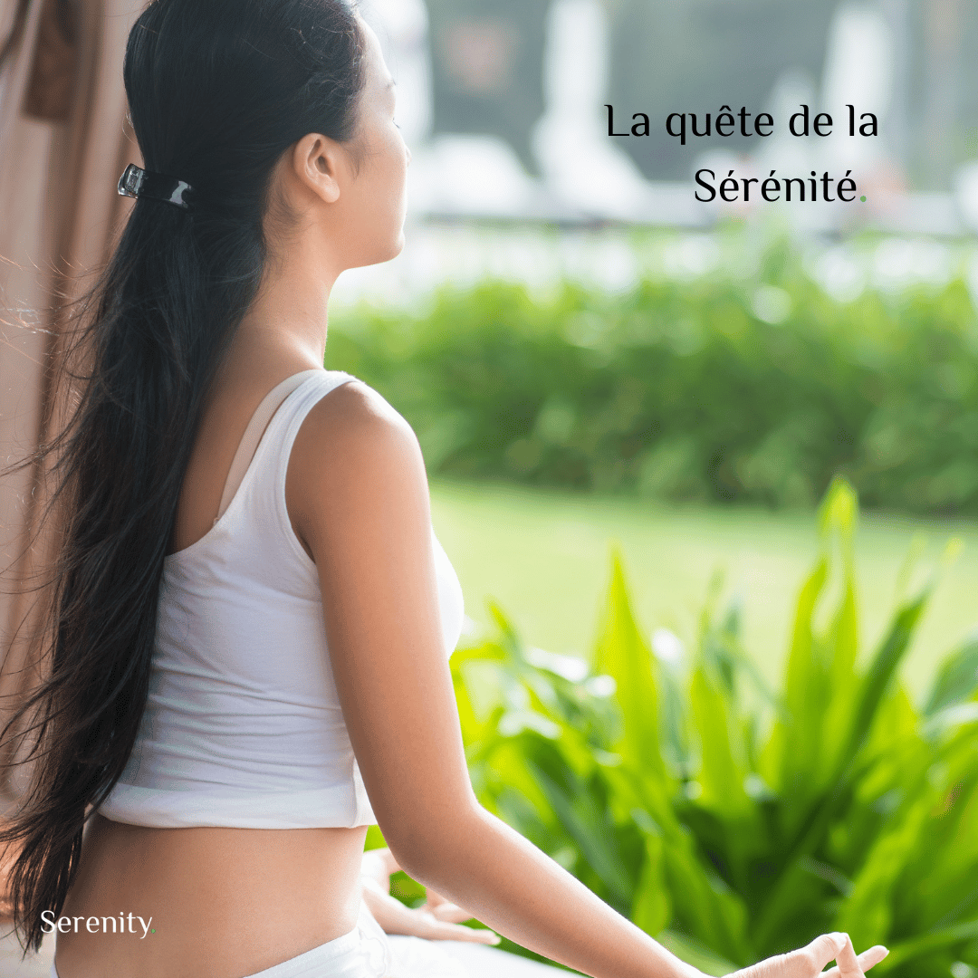 La quête de la sérénité : comment trouver la paix dans notre vie moderne Image